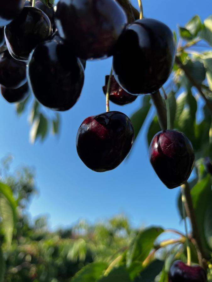 Kling Am See FDH Eksteriør billede